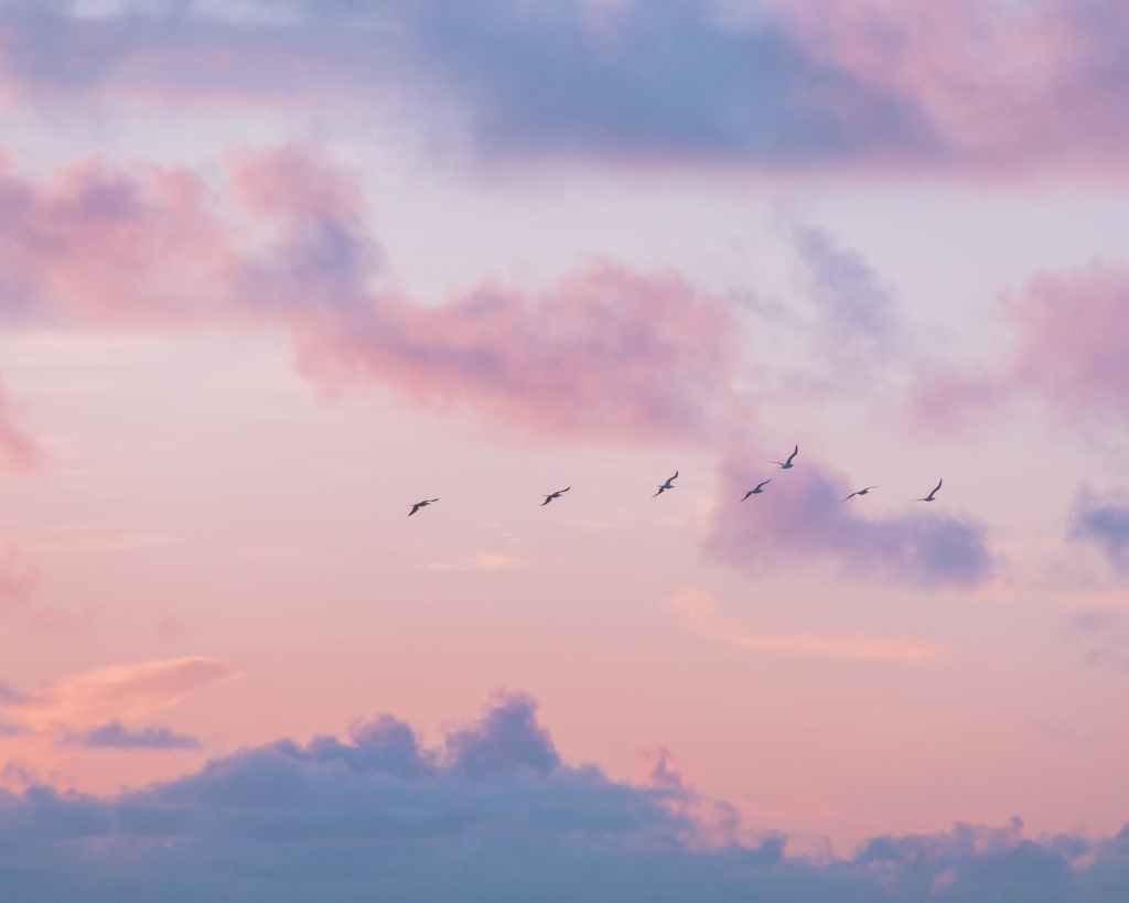 Me daba la&nbsp;vida